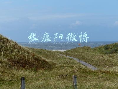 张康阳微博最新(张康阳微博晒手捧意甲联赛冠军奖杯的照片：我们是冠军)