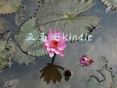 亚马逊kindle