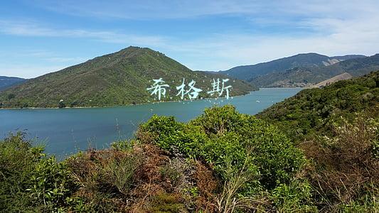 希格斯