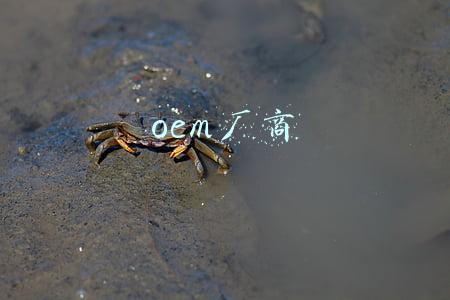 oem厂商
