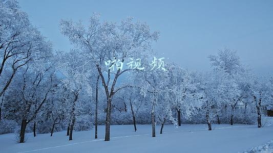 啪视频