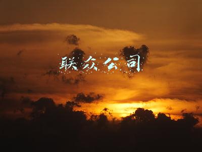 联众公司