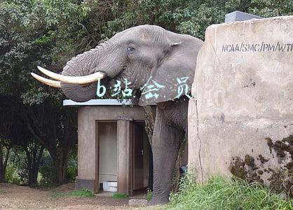 b站会员