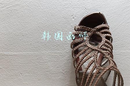 韩国画师