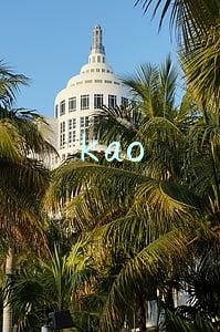 kao