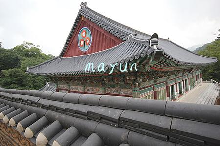 mayun