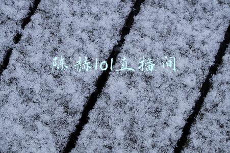 陈赫lol直播间