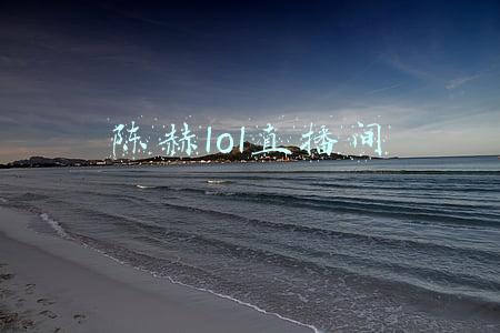 陈赫lol直播间