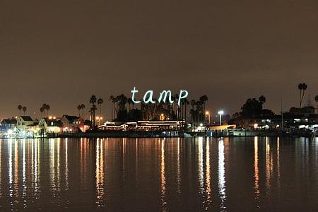 tamp