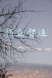 领益智造