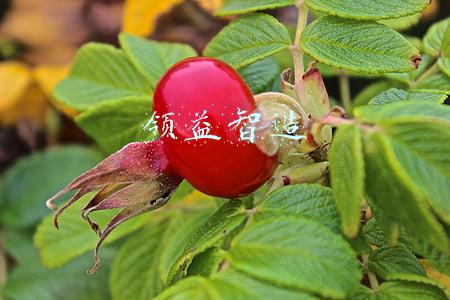 领益智造