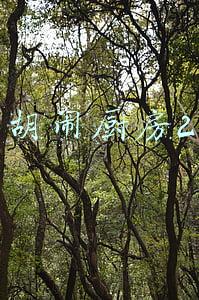 胡闹厨房2