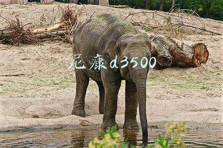 尼康d3500