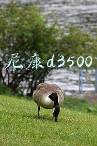 尼康d3500