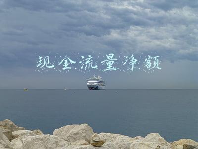 现金流量净额