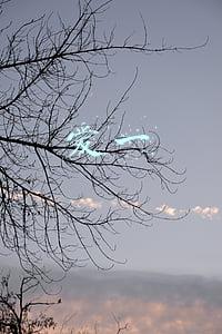爱一