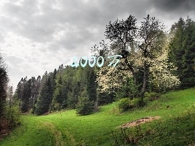 2000万