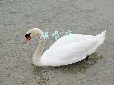 磁带库