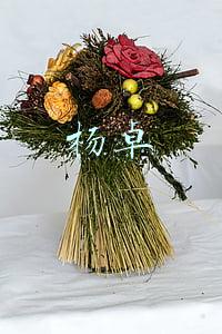 杨卓