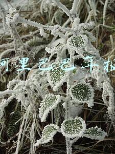 阿里巴巴年报