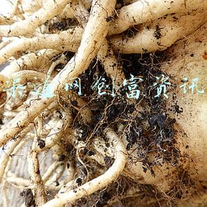 渠道网创富资讯