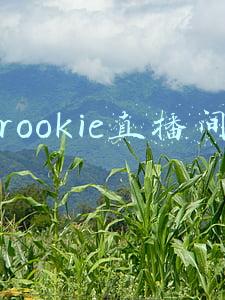 rookie直播间