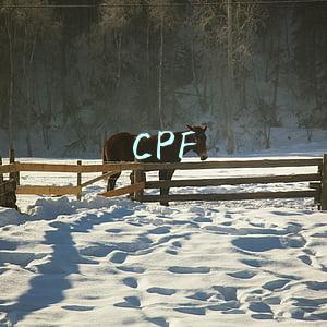 CPF