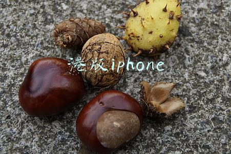 港版iphone