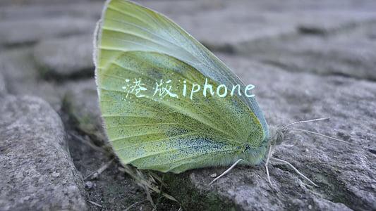 港版iphone