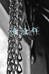 渣渣辉