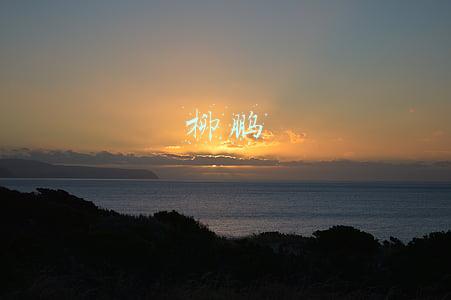 柳鹏