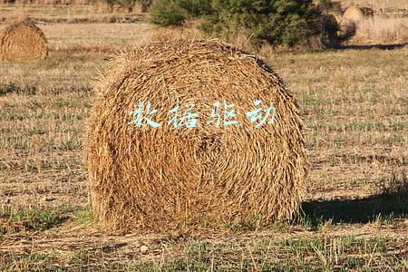 数据驱动