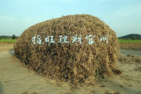 指旺理财官网