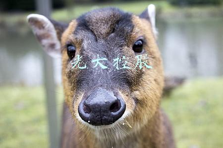 光大控股