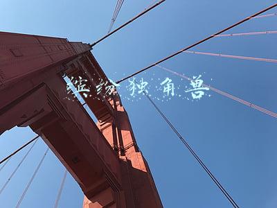 缤纷独角兽