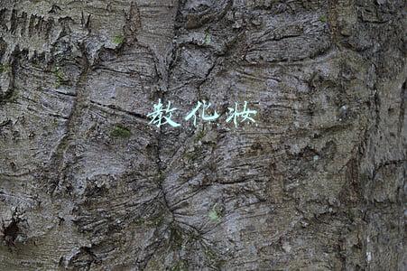 教化妆的学校(化妆学校十大名校！2021化妆学校排名出炉前十名有你心仪的学校吗)