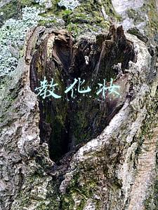 教化妆