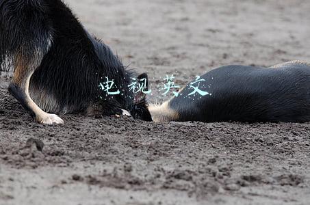 电视英文 电视英文