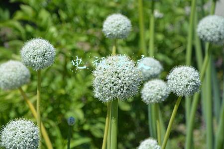 电视英文 电视英文