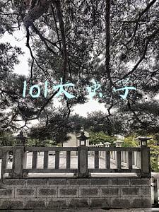 lol大虫子出装(LOL2022大虫子怎么出装)