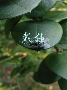 戴伟民(芯原股份董事长戴伟民：不是所有芯片都适合Chiplet方案)