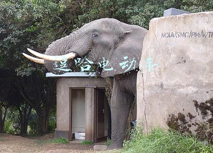 逗哈电动车