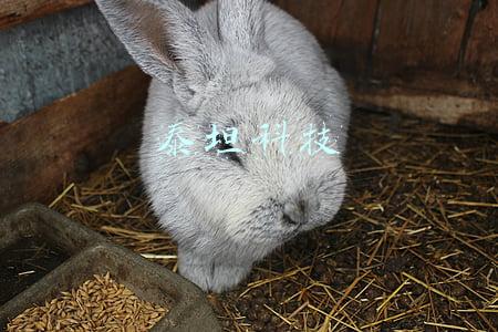 泰坦科技