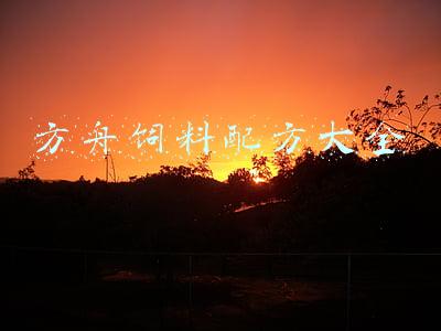 方舟饲料配方大全