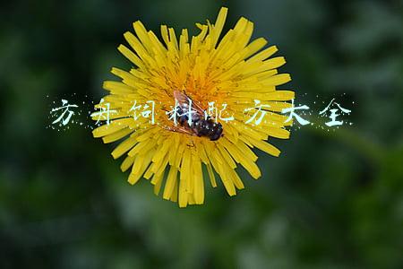 方舟饲料配方大全