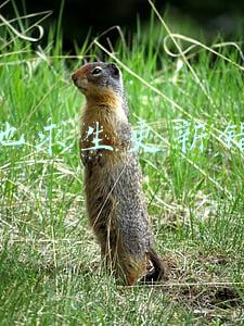 绝地求生更新错误