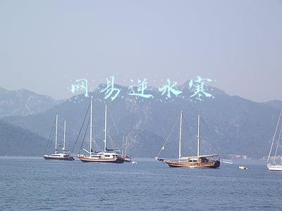 网易逆水寒