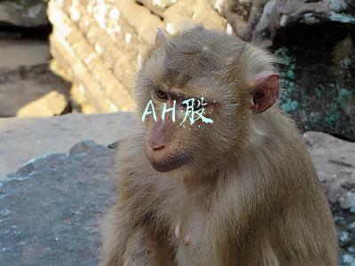 ah股溢价(AH股溢价指数大涨1.42%至127.56点)