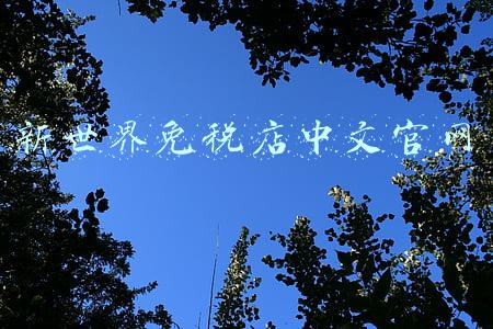 新世界免税店中文官网