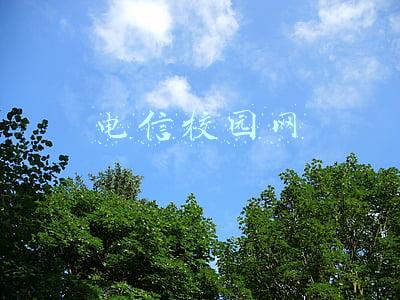 电信校园网密码忘记了怎么办(关于为广大学生赠送疫情防控期间在线学习流量的通知)